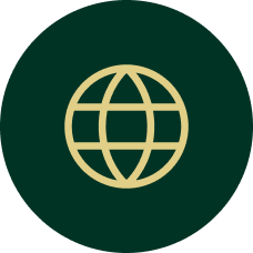 Global Reach Icon